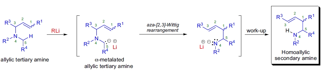 aza-[2,3]-Wittig rearrangement overview