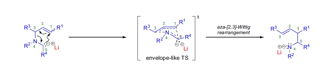 aza-[2,3]-Wittig rearrangement mechanism