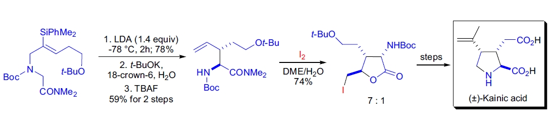 Synthetic application 1