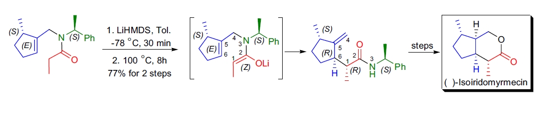 Synthetic application 1