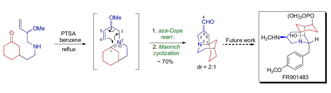 Synthetic application 1