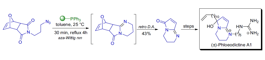 Synthetic application 4