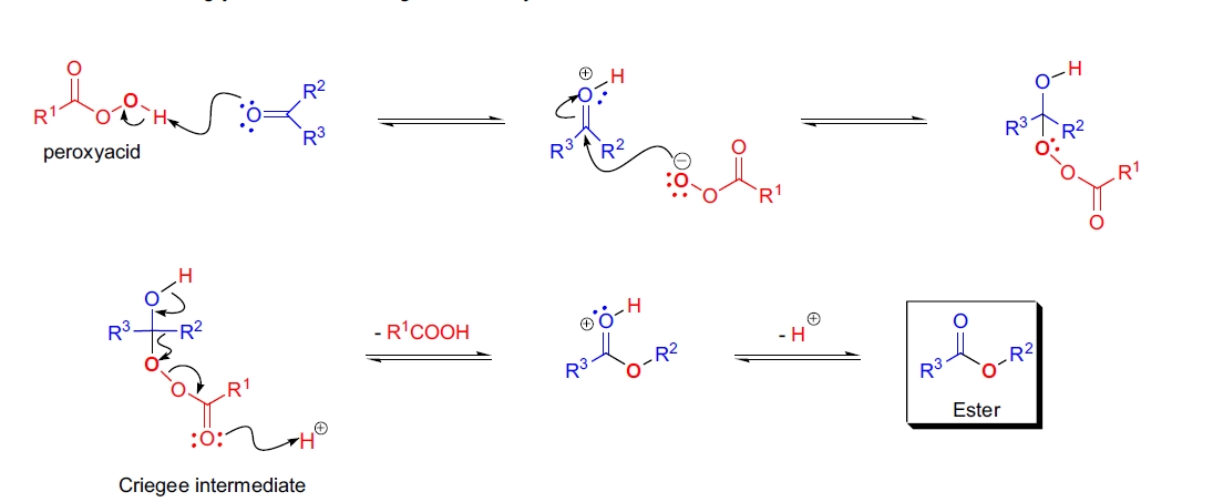 Baeyer-Villiger oxidation mechanism