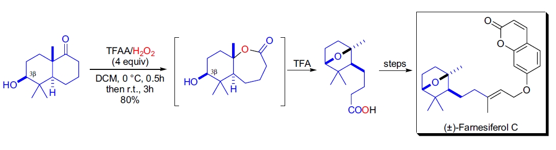 Synthetic application 4