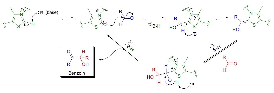 Benzoin 缩合反应机理