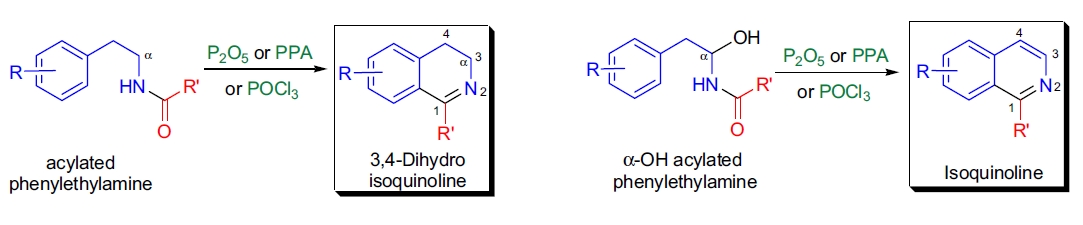 Bischler-Napieralski 合成示意图