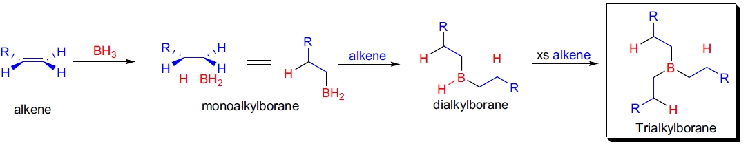Brown 加成反应示意图