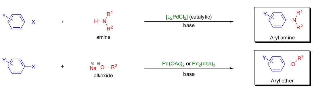 Buchwald-Hartwig 反应示意图