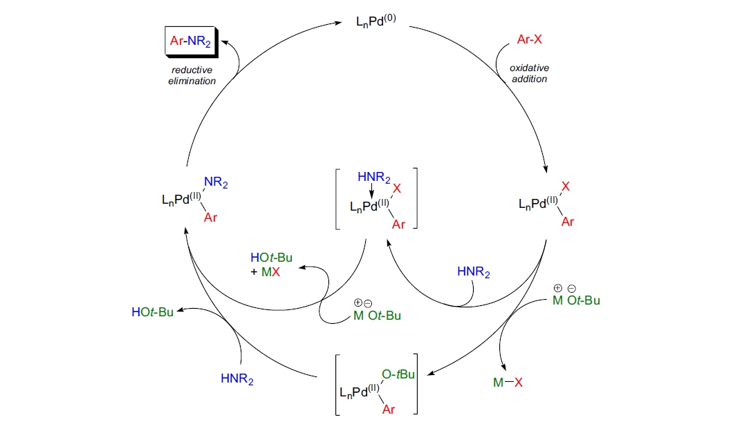 Buchwald-Hartwig 反应机理