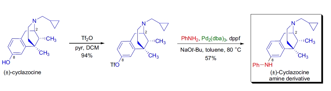 Buchwald-Hartwig 反应应用1