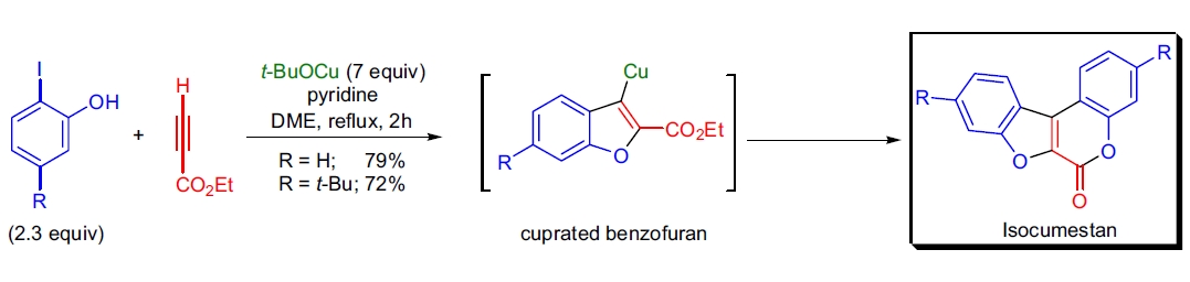Castro-Stephens 偶联应用1