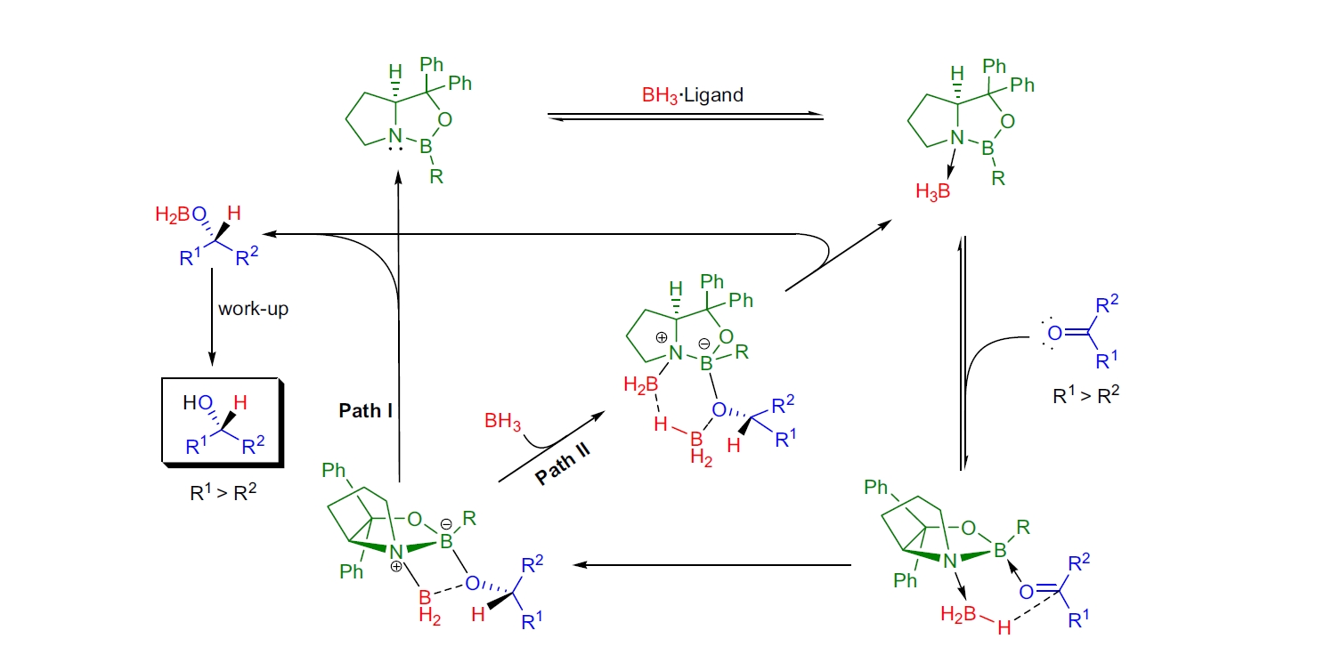 CBS 还原反应机理