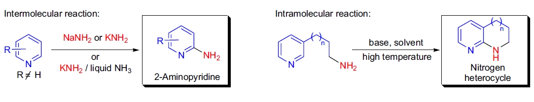 Chichibabin 反应示意图