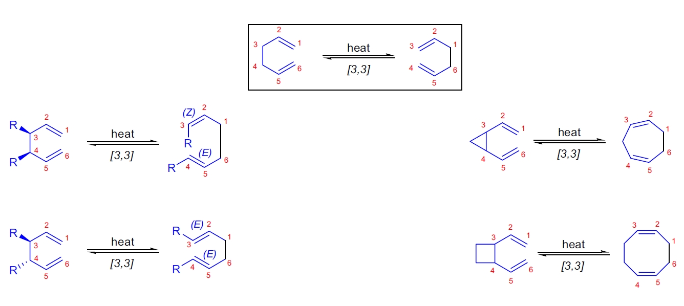 Cope 重排反应示意图