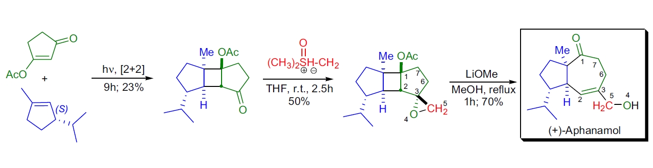 Corey-Chaykovsky 应用2