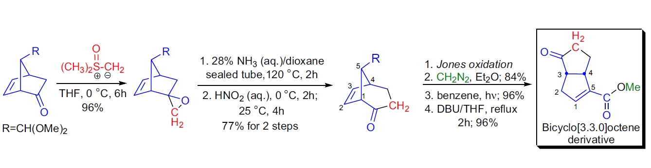 Corey-Chaykovsky 应用3