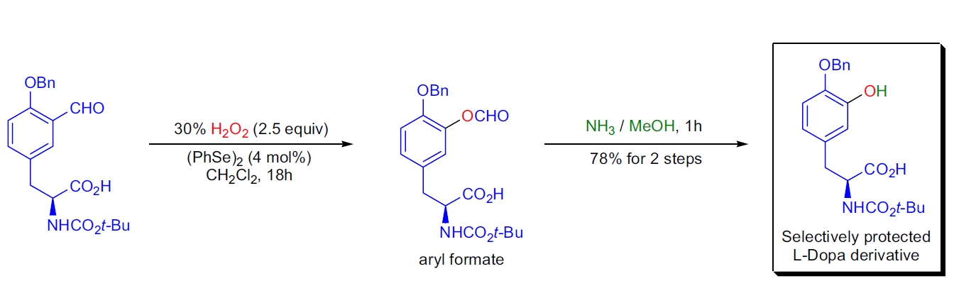 L-Dopa 衍生物的合成