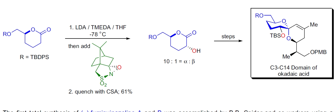 Okadaic acid 片段合成