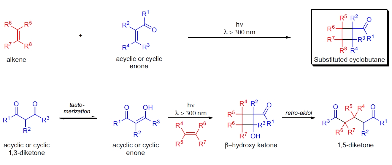 De Mayo 环加成反应示意图