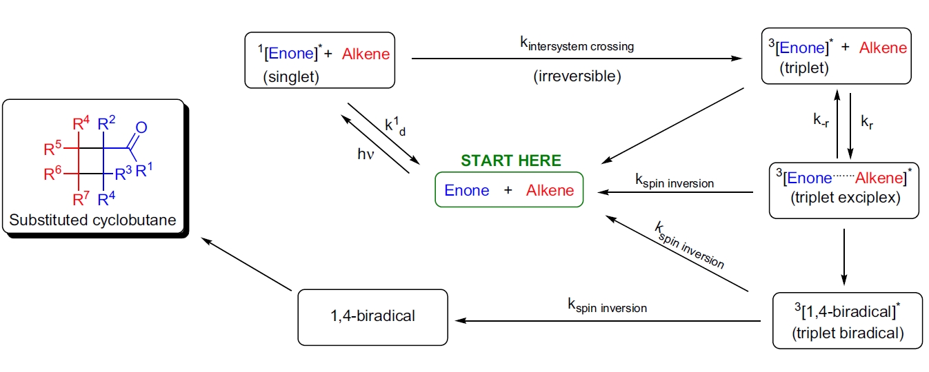 De Mayo 环加成反应机理
