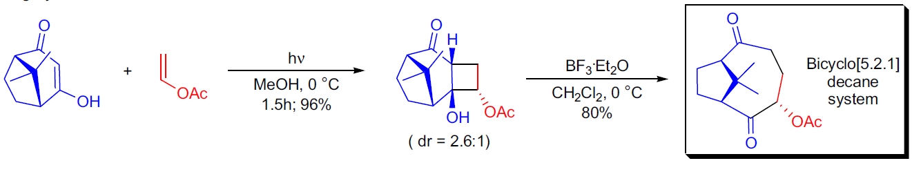 Taxane 骨架的合成