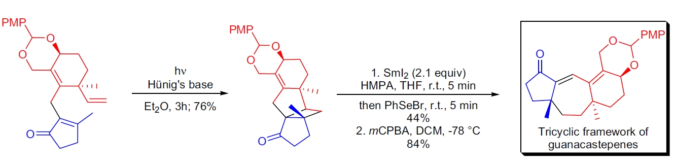 Guanacastepenes 的合成