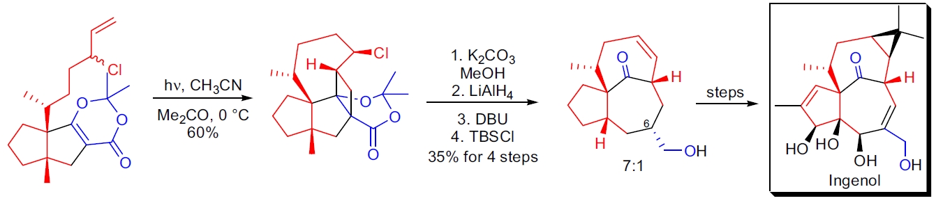 Ingenol 的合成