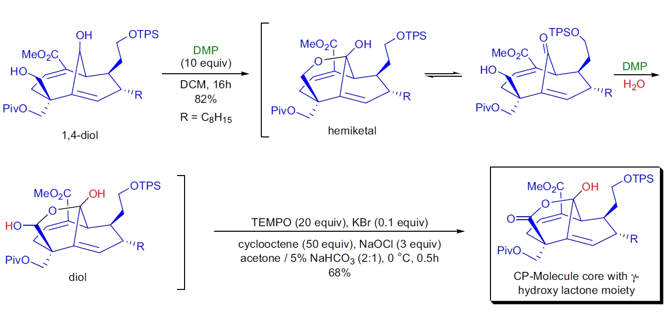 CP 分子的 γ-羟基内酯