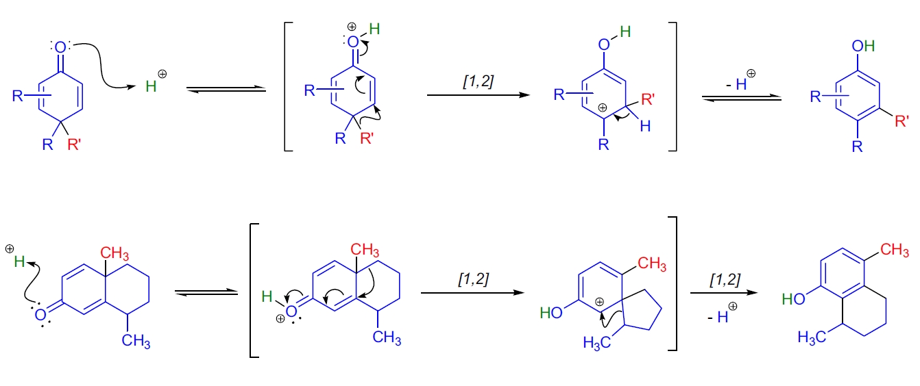 二烯酮-苯酚重排反应机理