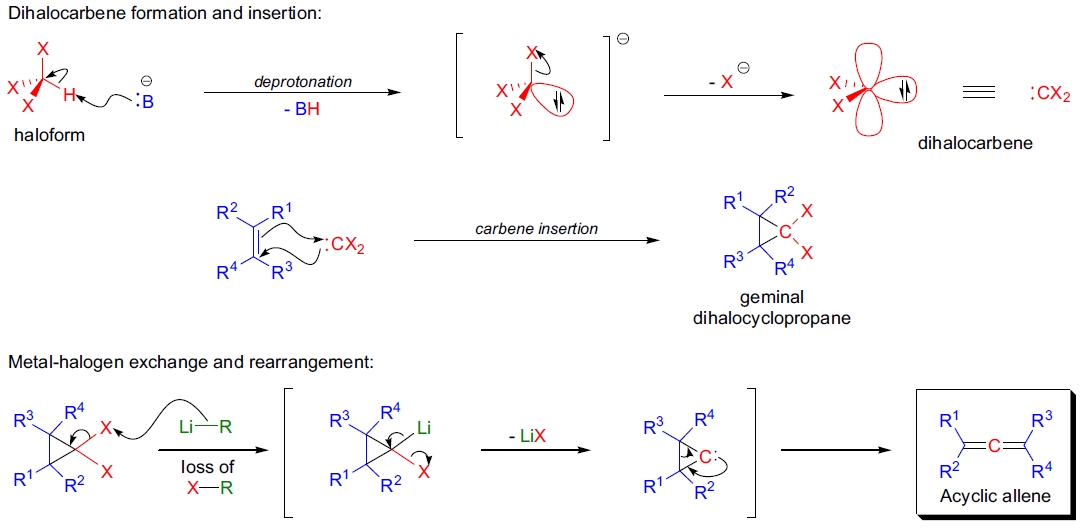 Doering-LaFlamme 联烯合成机理图