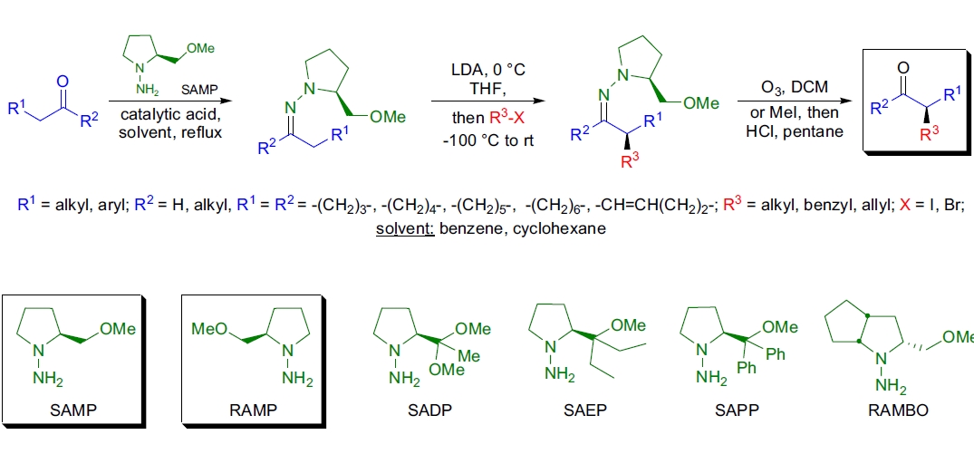 Enders反应示意图