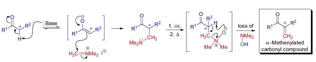 Eschenmoser 亚甲基化反应机理
