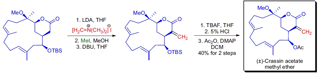 Eschenmoser 亚甲基化反应应用3