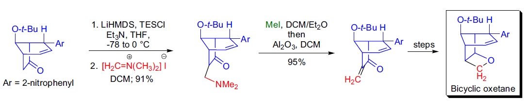 Eschenmoser 亚甲基化反应应用4