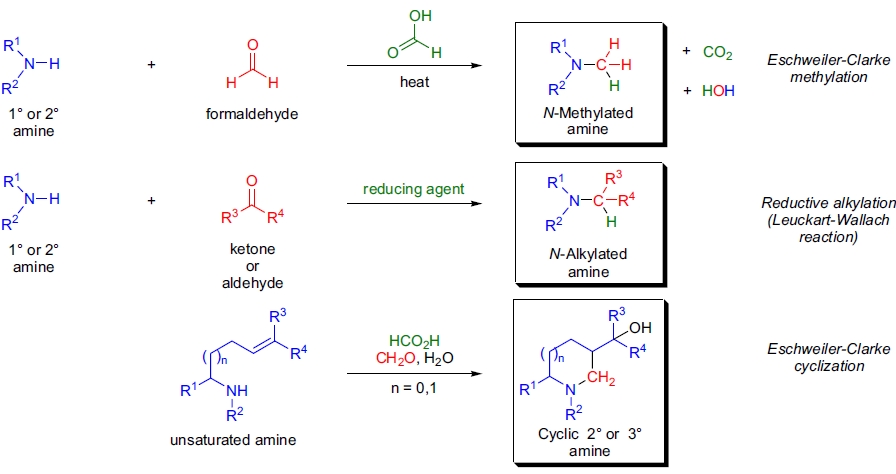 Eschweiler-Clarke 甲基化示意图