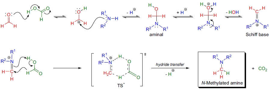 Eschweiler-Clarke 甲基化机理