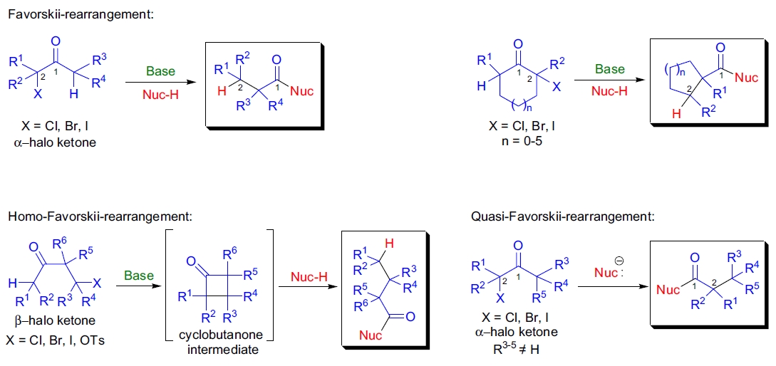 Favorskii 重排示意图