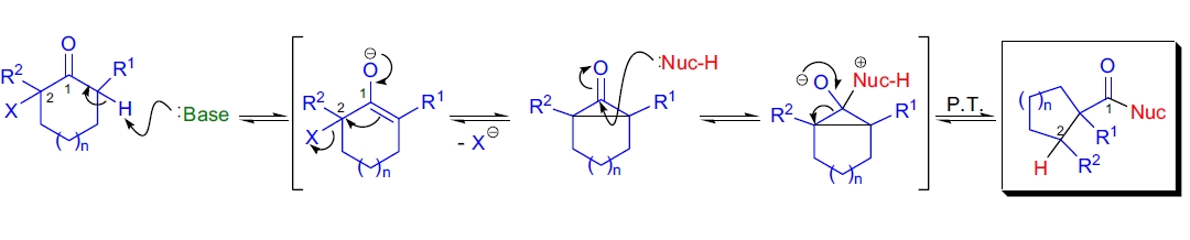 Favorskii 重排机理