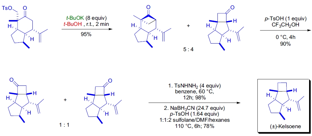 Favorskii 重排应用3