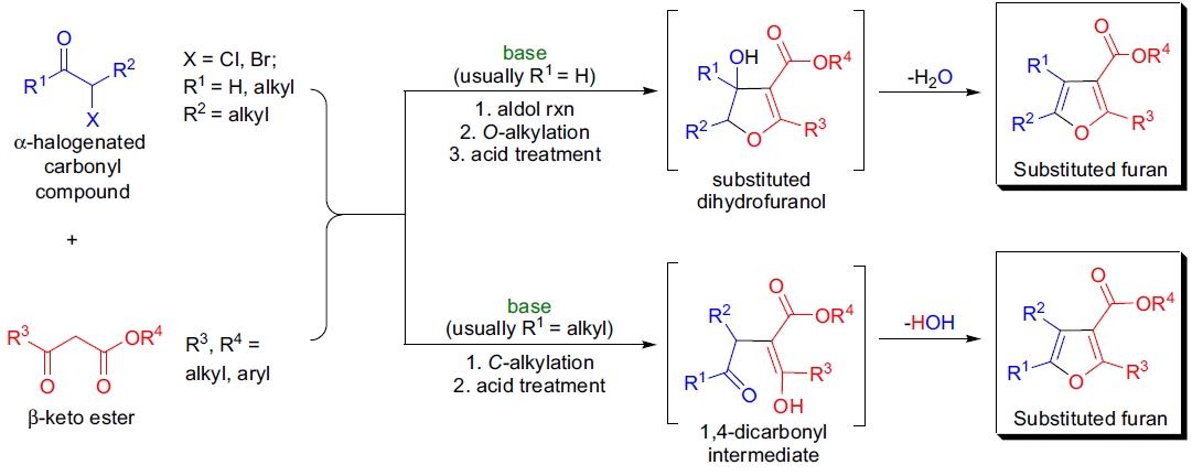 Feist-Bénary 呋喃合成示意图