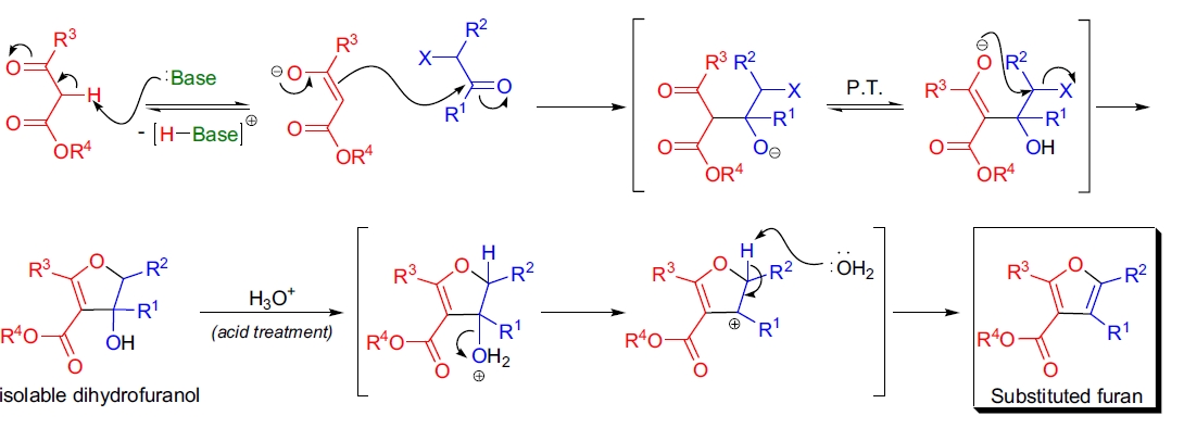 Feist-Bénary 呋喃合成机理