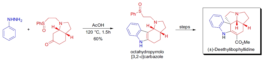 Fischer 吲哚合成应用1