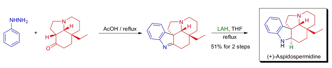 Fischer 吲哚合成应用2