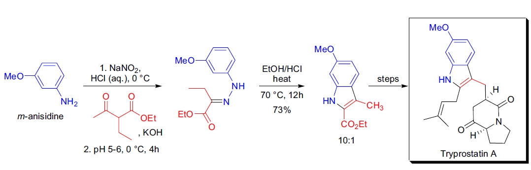 Fischer 吲哚合成应用4