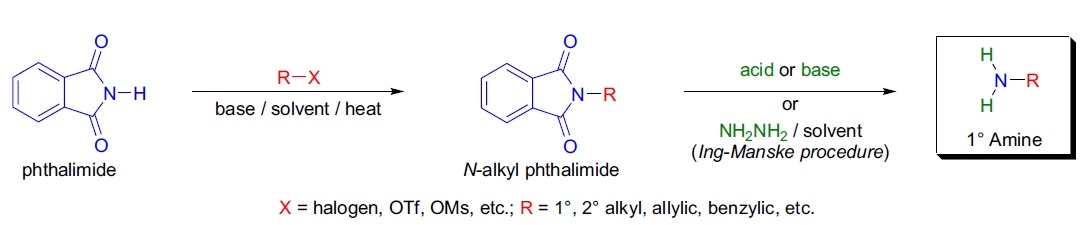 Gabriel 合成法示意图