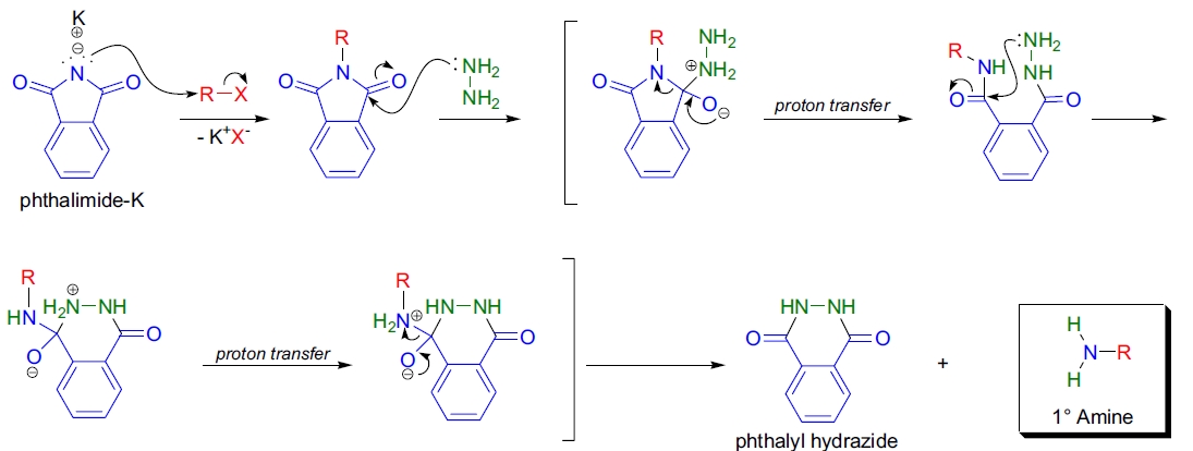 Gabriel 合成法机理