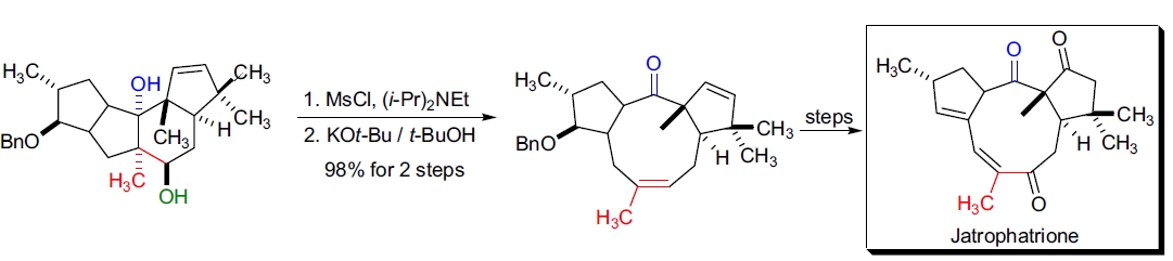 grobe fragmentation应用1