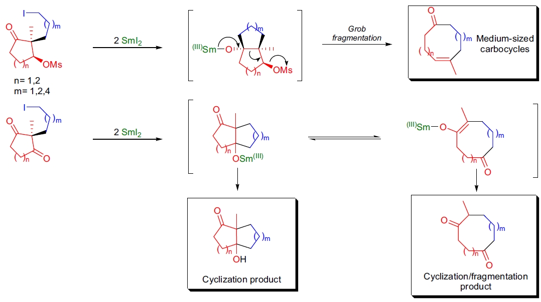 grobe fragmentation应用3