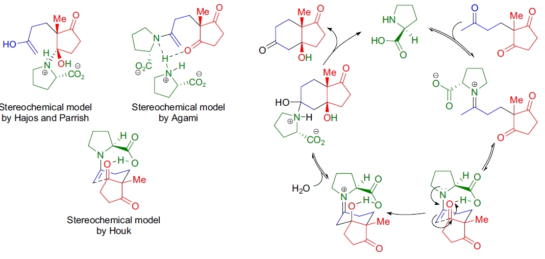 Hajos-Parrish反应机理