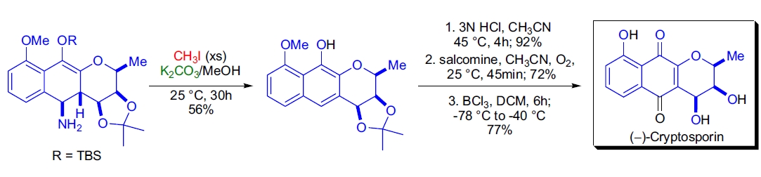 Hofmann 应用2